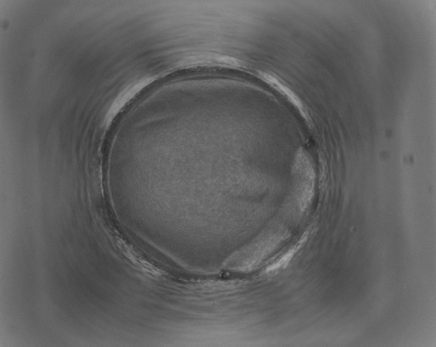 X0000070370877200606231645