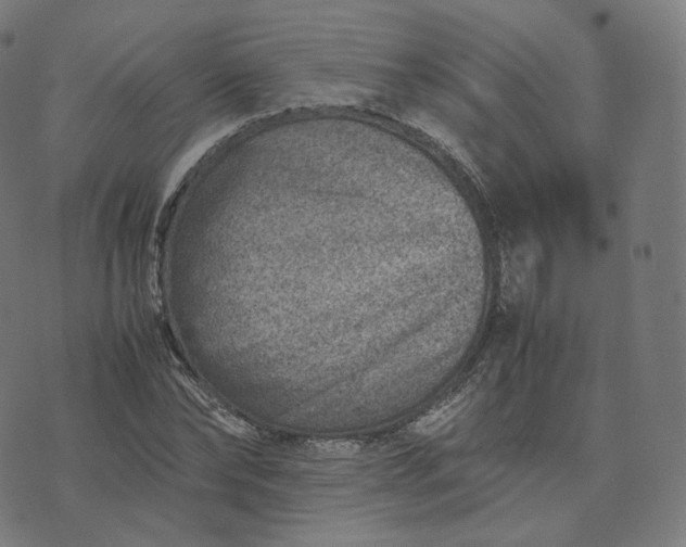 X0000070370878200606231645