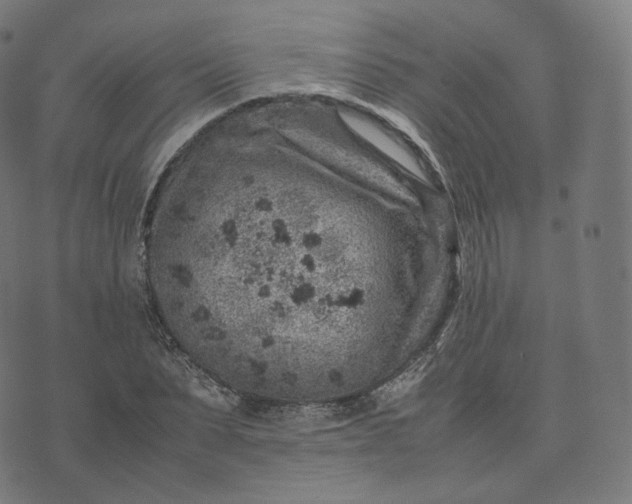 X0000070370879200606231645