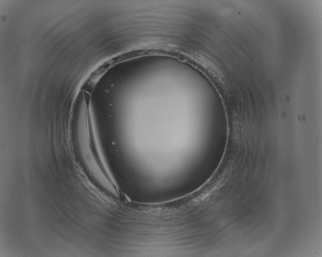 X0000070370880200606231644