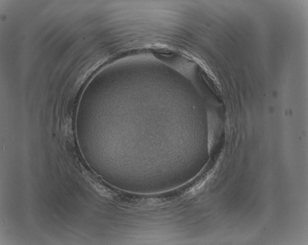 X0000070370881200606231644