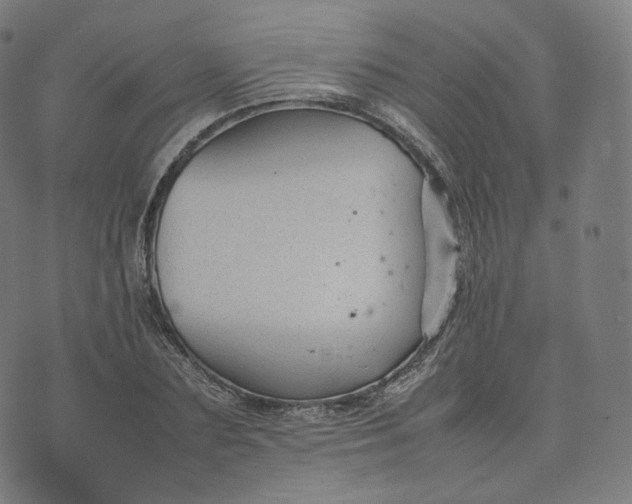 X0000070370883200606231644