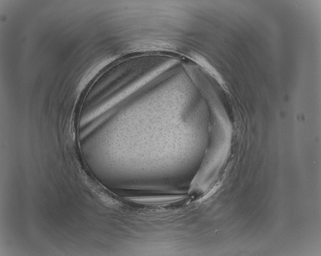 X0000070370885200606231644