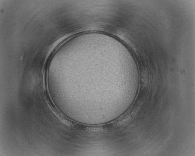 X0000070370886200606231644