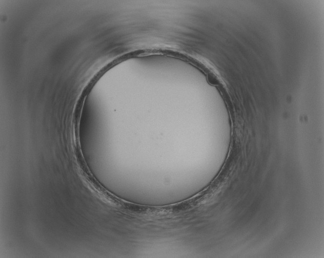 X0000070370887200606231644