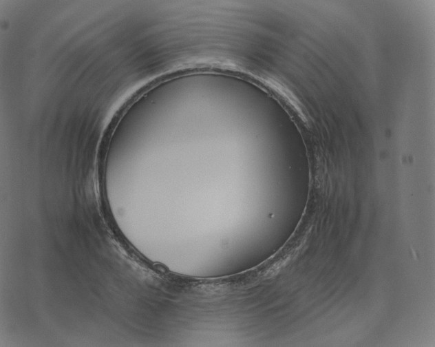 X0000070370888200606231644