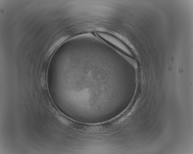 X0000070370889200606231644