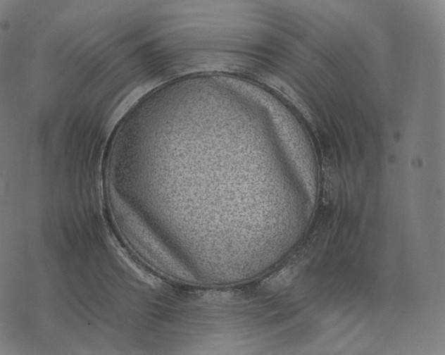 X0000070370890200606231644