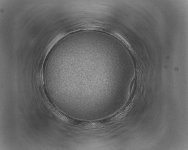 X0000070370891200606231644