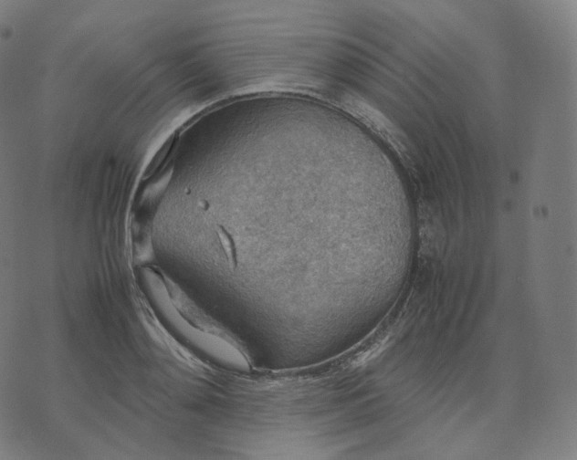 X0000070370892200606231644