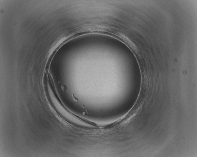 X0000070370893200606231644