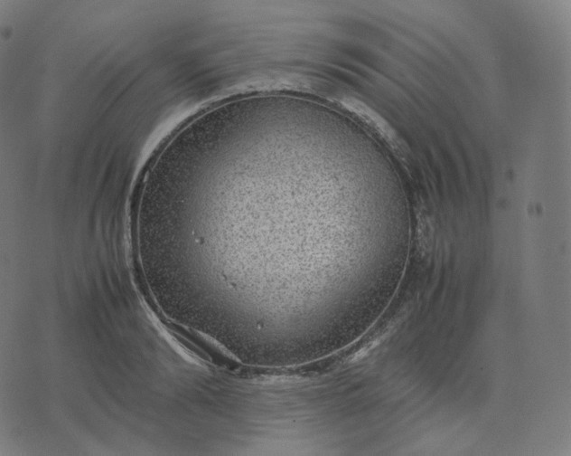 X0000070370894200606231644