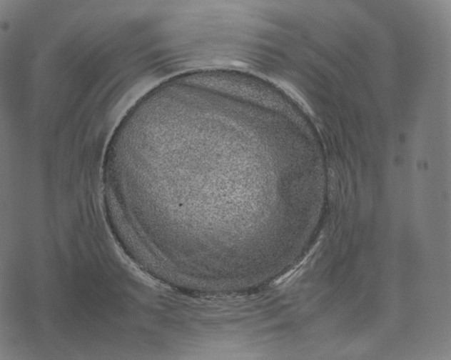 X0000070370895200606231644