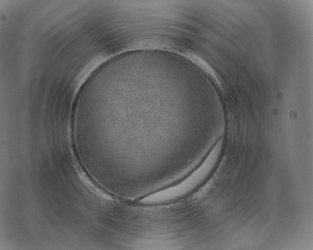 X0000070370896200606231644