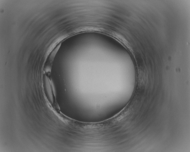 X0000070370898200606231644