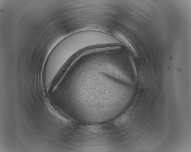 X0000070370900200606231644