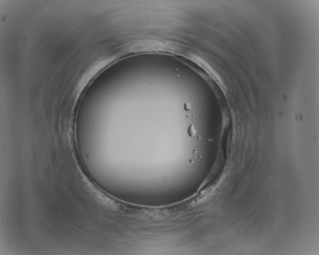 X0000070370901200606231644