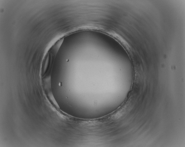 X0000070370902200606231644