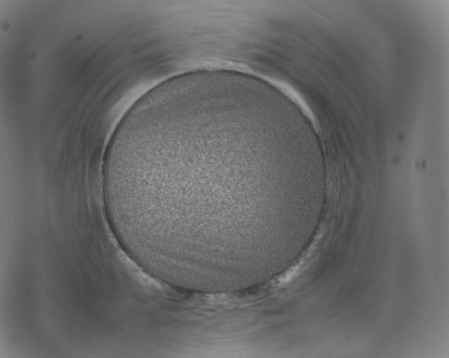 X0000070370903200606231644