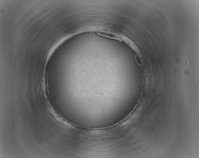 X0000070370904200606231644