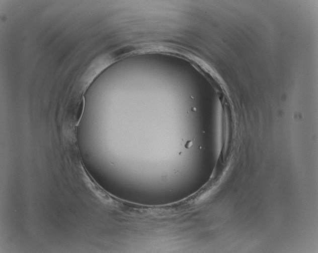 X0000070370905200606231644