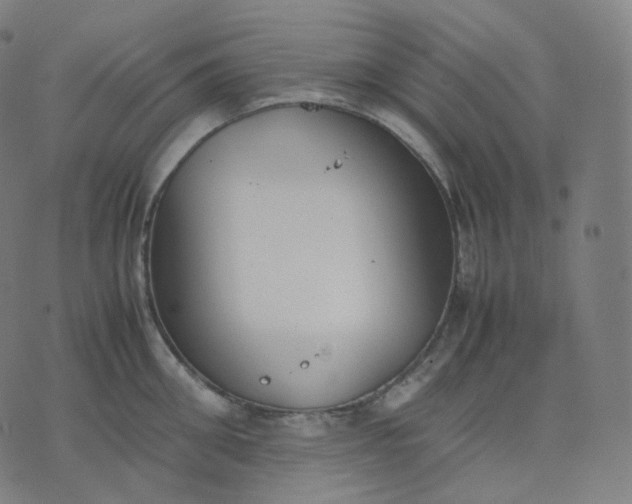 X0000070370906200606231644