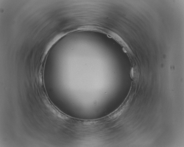 X0000070370908200606231644