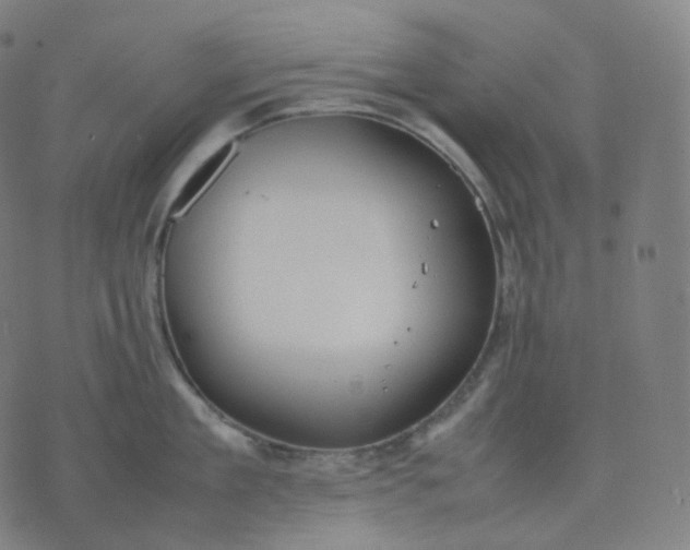 X0000070370909200606231644