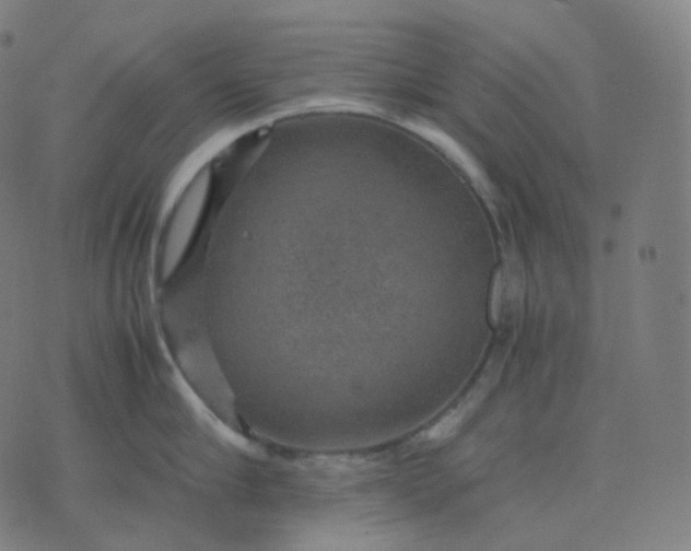 X0000070370910200606231644