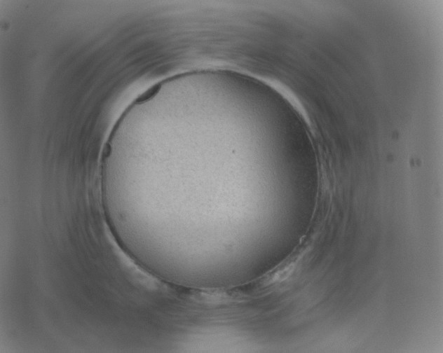 X0000070370911200606231644