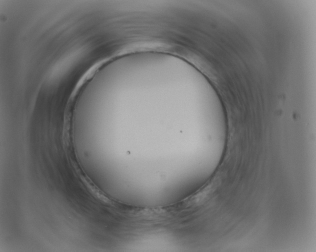 X0000070370912200606231644