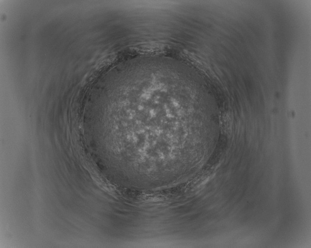 X0000070370913200606231643