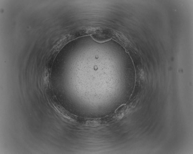 X0000070370914200606231643