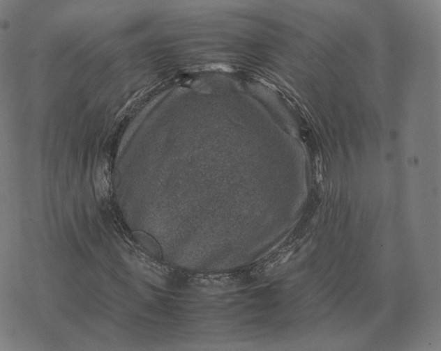 X0000070370915200606231643