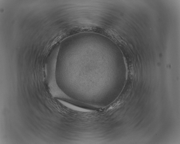 X0000070370916200606231643