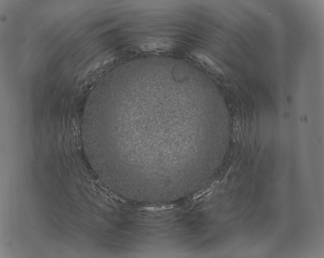 X0000070370917200606231643