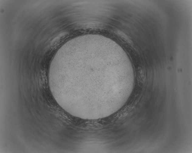 X0000070370918200606231643