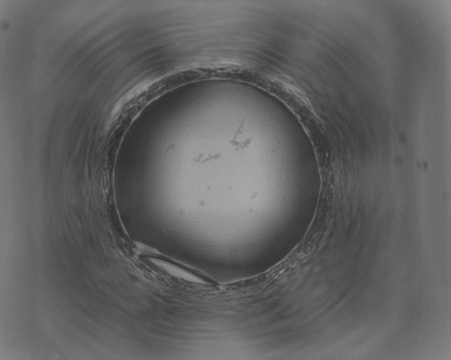 X0000070370920200606231643