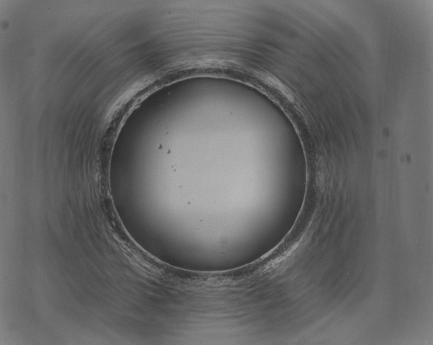 X0000070370922200606231643