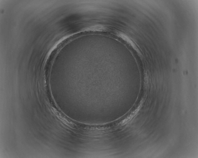 X0000070370923200606231643