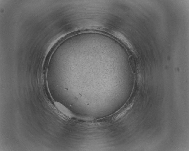 X0000070370924200606231643