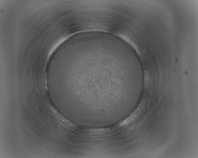 X0000070370925200606231643