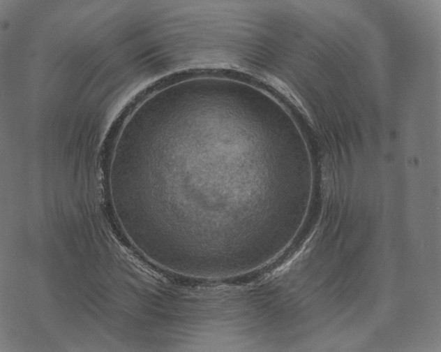 X0000070370926200606231643