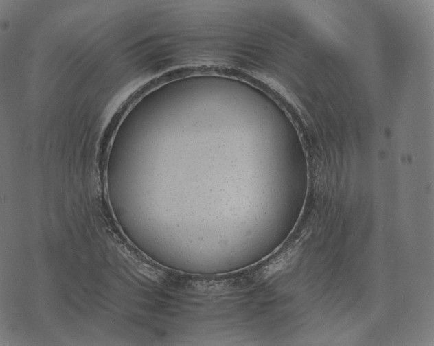 X0000070370927200606231643