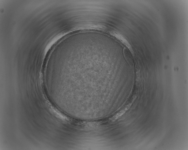 X0000070370928200606231643