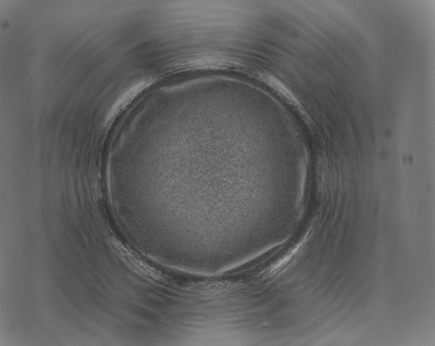 X0000070370930200606231643