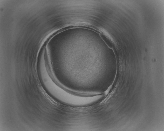 X0000070370932200606231644