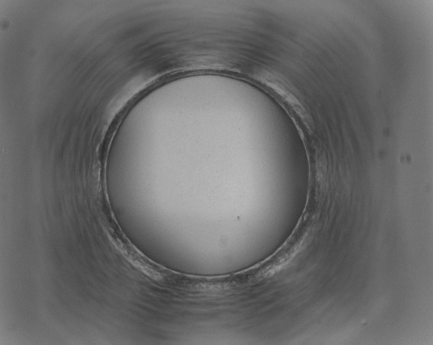 X0000070370933200606231644