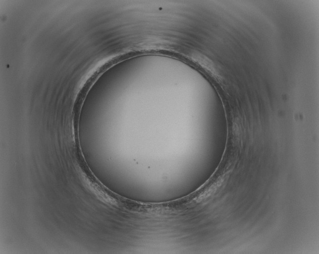 X0000070370934200606231644