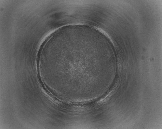 X0000070370935200606231644